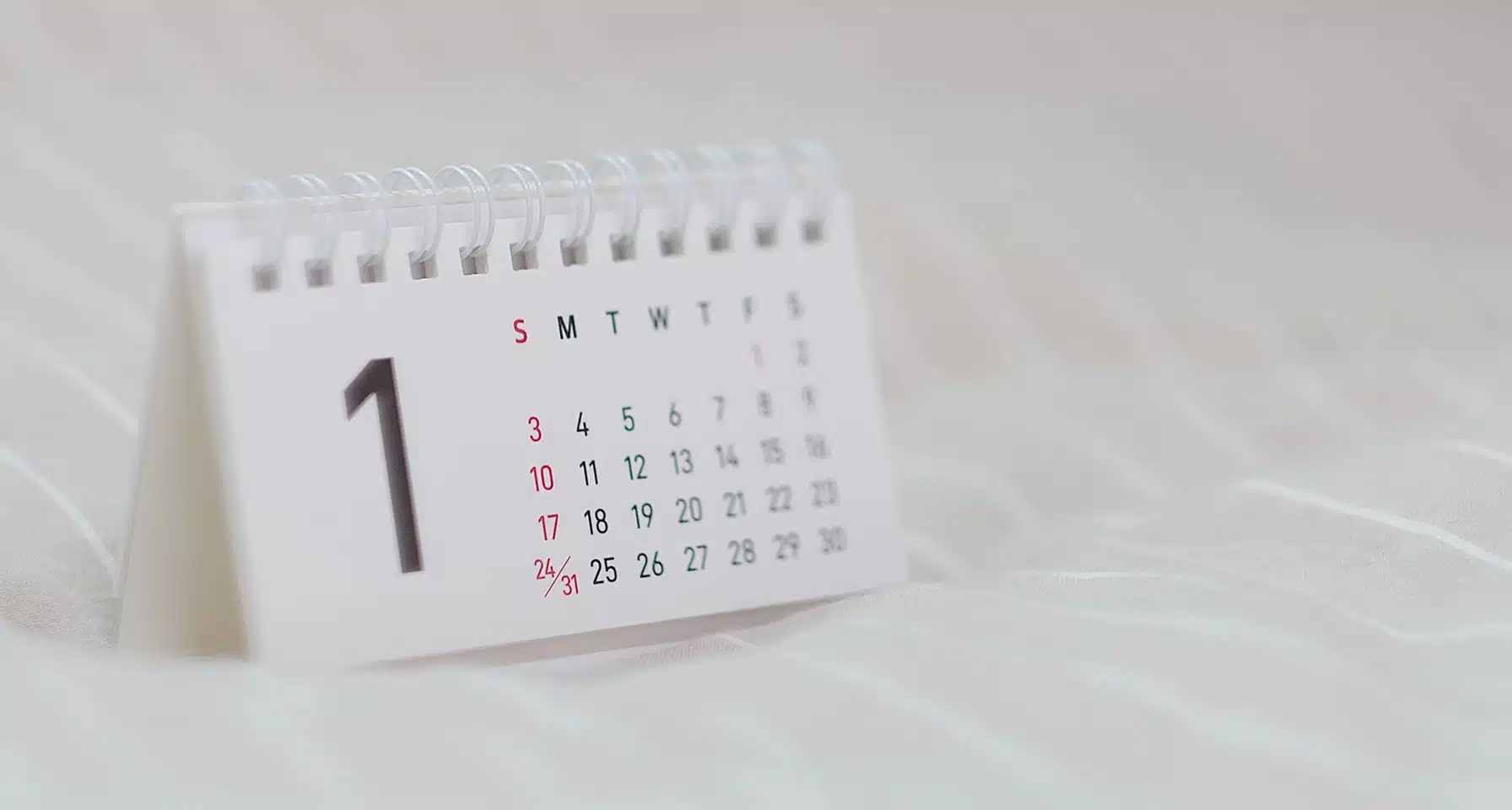 TherapyHive session calendar with dates and times