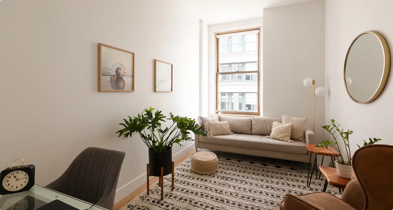 Cozy, modern living room with plants